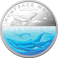 2023 $5 1oz Coloured Silver Proof Coin - Australian Antarctic Territory Humpback Whale