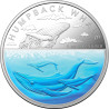 2023 $5 1oz Coloured Silver Proof Coin - Australian Antarctic Territory Humpback Whale