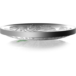 Beauty, Rich & Rare – Great Daintree Rainforest 2022 $5 Silver Coloured Proof Domed Coin