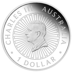 2025 $1 Lunar Year of the Snake - Australian Opal Lunar Series 1oz Silver Proof Coin