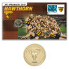 2013 AFL Premiers - Hawthorn PNC