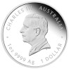 2025 $1 Australian Lunar Series III 2025 Year of the Snake 1oz Silver Proof Coin